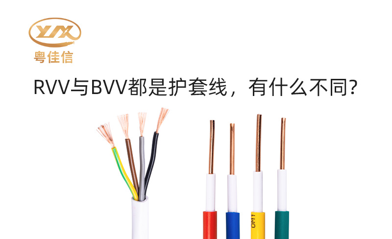 RVV與BVV都是護套線，有什么不同