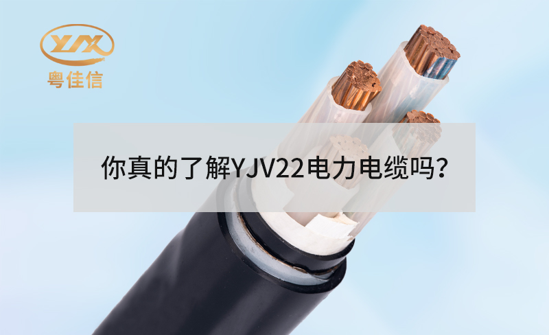 你真的了解YJV22電力電纜嗎？